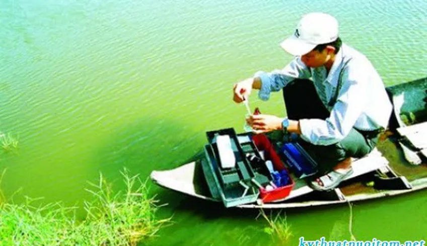 Giải pháp nuôi tôm sú sạch theo công nghệ mới (Phần 3)