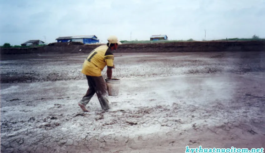 Giải pháp nuôi tôm sú sạch theo công nghệ mới (Phần 4)