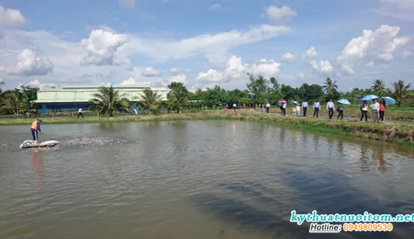 Một số biện pháp phòng ngừa bệnh và nâng cao năng suất cá nuôi