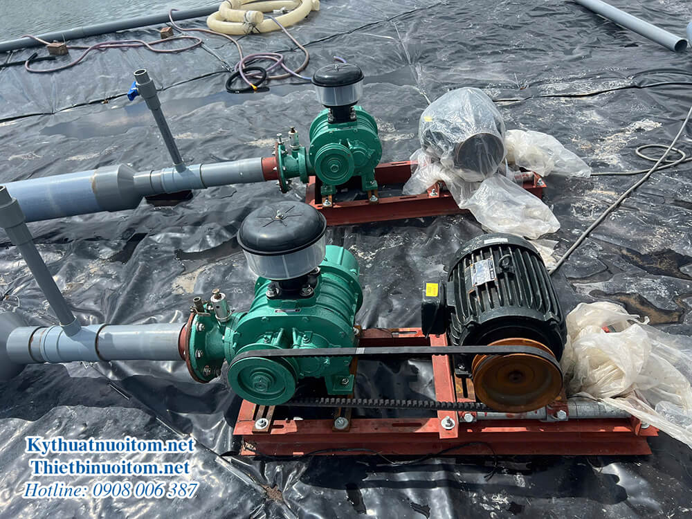 Máy sục khí tôm giúp tăng hàm lượng oxy hòa tan trong nước và cải thiện môi trường sống của tôm. Máy sục khí tôm giúp tăng hàm lượng oxy hòa tan trong nước và cải thiện môi trường sống của tôm.