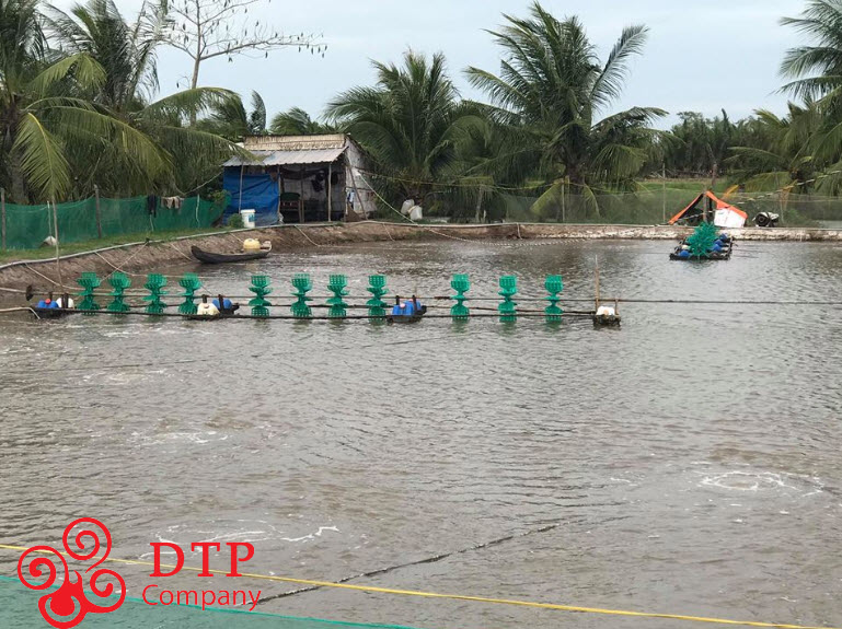 Sử dụng máy sục khí chất lượng, giá tốt nhất tại Đại Tam Phát Sử dụng máy sục khí chất lượng, giá tốt nhất tại Đại Tam Phát