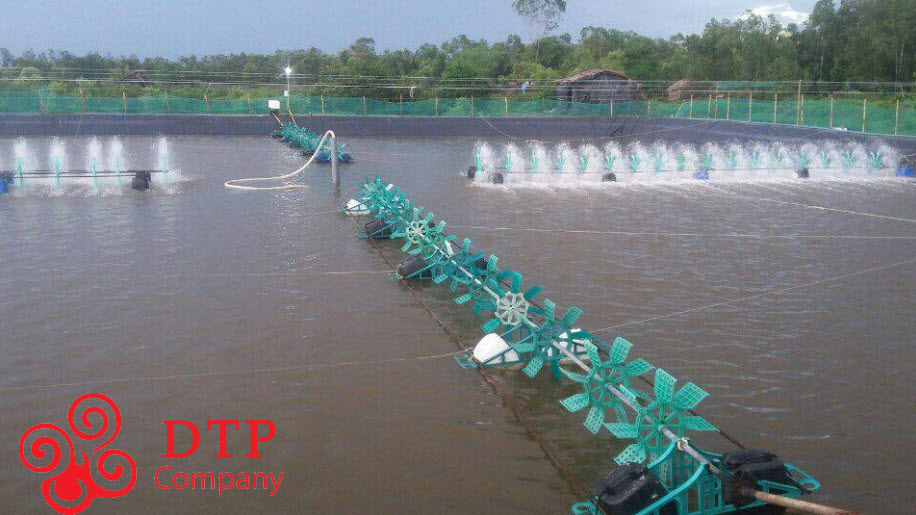 Lắp thiết bị tạo oxy ở bờ ao được nhưng phải phù hợp với mật độ tôm trong hồ Lắp thiết bị tạo oxy ở bờ ao được nhưng phải phù hợp với mật độ tôm trong hồ
