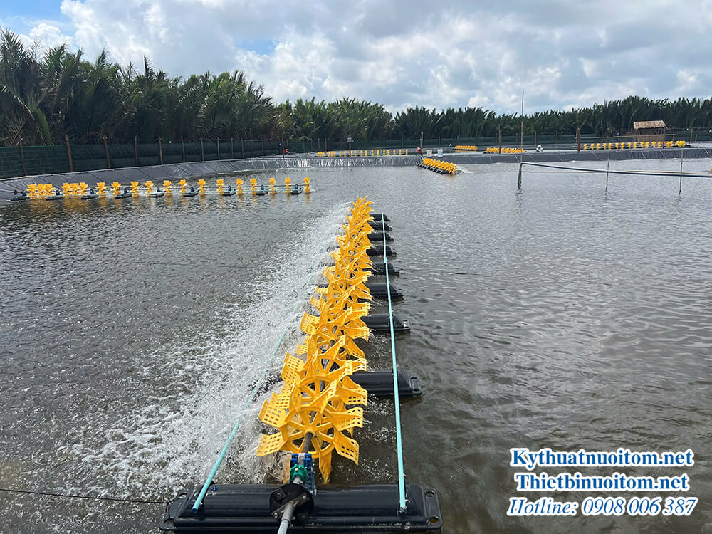 Máy Sục Khí Nuôi Tôm Hiệu Quả Cao – Thiết Bị Nuôi Tôm Hiện Đại Máy Sục Khí Nuôi Tôm Hiệu Quả Cao – Thiết Bị Nuôi Tôm Hiện Đại