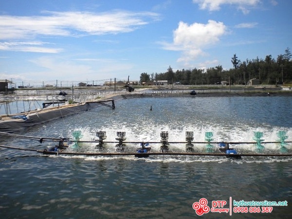 Quạt nước nuôi tôm giá sỉ chất lượng cao Quạt nước nuôi tôm giá sỉ chất lượng cao