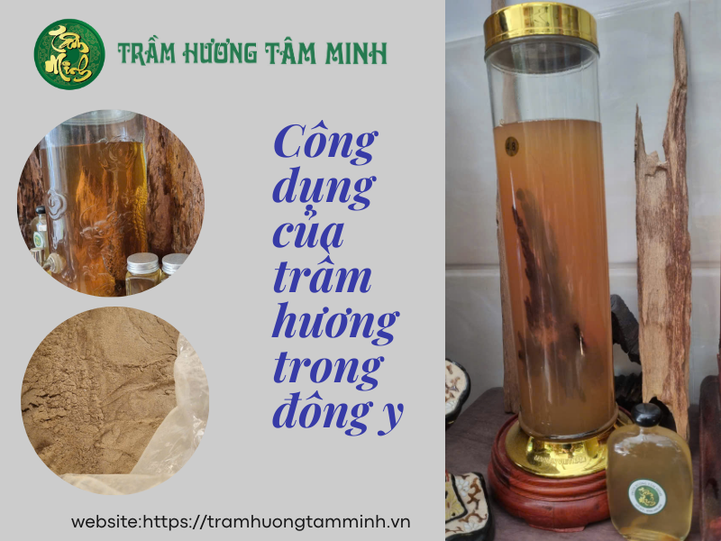 Rượu Tràm Hương Ngâm 4 năm