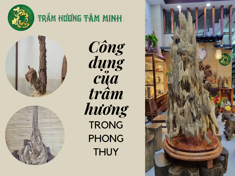 Công dụng của Trầm Hương trong Phong Thủy