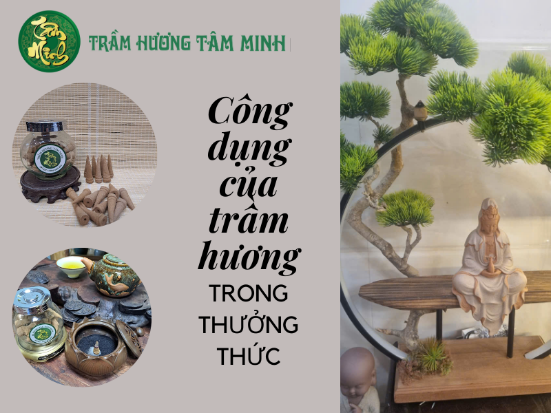 Thưởng thức Trầm Hương
