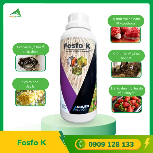 Fosfo K [ Organic Fertilizer ]
