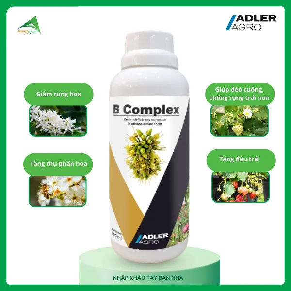 Phân hữu cơ B Complex