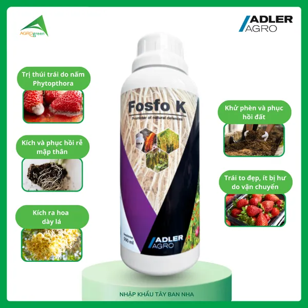 Fosfo K [ Organic Fertilizer ]
