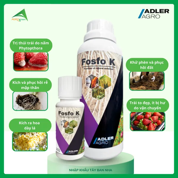 Fosfo K [ Organic Fertilizer ]