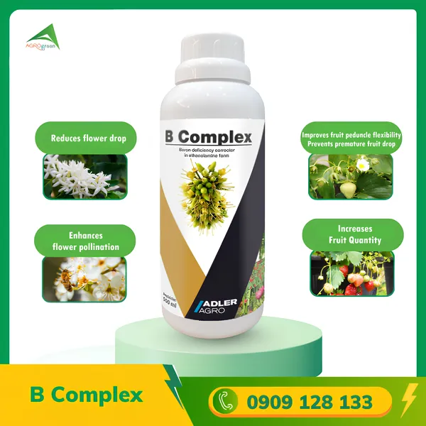 B Complex [ Organic Fertilizer ]