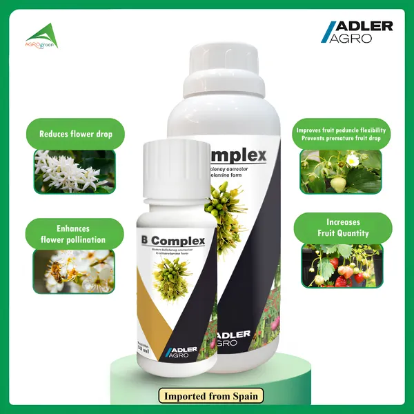 B Complex [ Organic Fertilizer ]