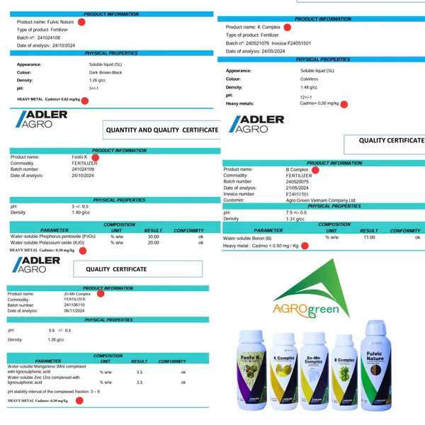 Phân hữu cơ Zn-Mn Complex