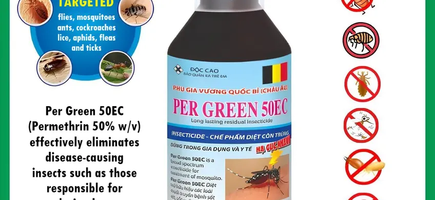 PHÒNG CHỐNG SỐT XUẤT HUYẾT SAU BÃO- CTY TNHH AGRO GREEN VIỆT NAM