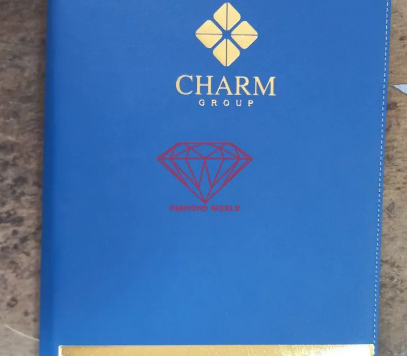 Bìa Hồ Sơ Cao Cấp Cho Doanh Nhân - Sang Trọng & Hiện Đại
