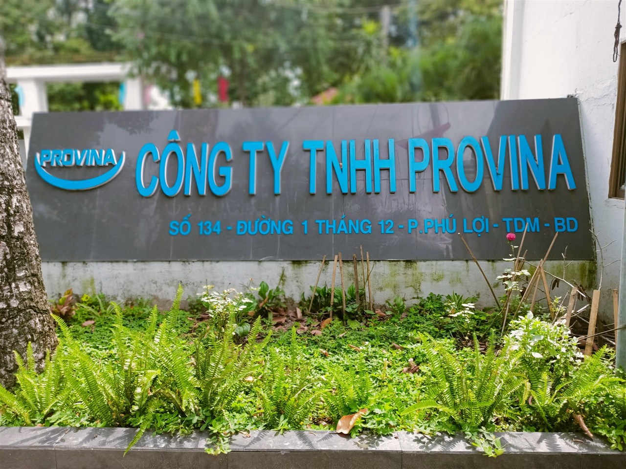 Cơ sở sản xuất dây đai dệt polyester Cơ sở sản xuất dây đai dệt polyester