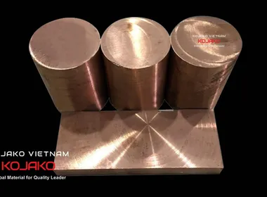 Đồng Hợp Kim Beryllium C17200
