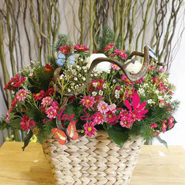 Hoa yêu thương - HSG33