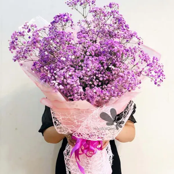 Tình yêu màu tím - HSG277