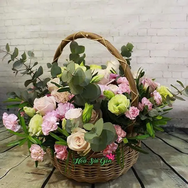 Tình dịu dàng hsg209