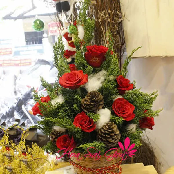 Ấm áp mùa giáng sinh - HSG48