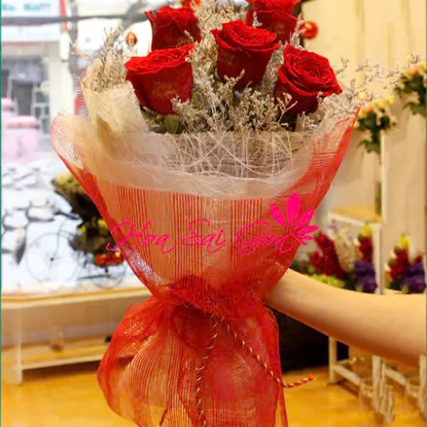 An lành mùa giáng sinh - HSG55