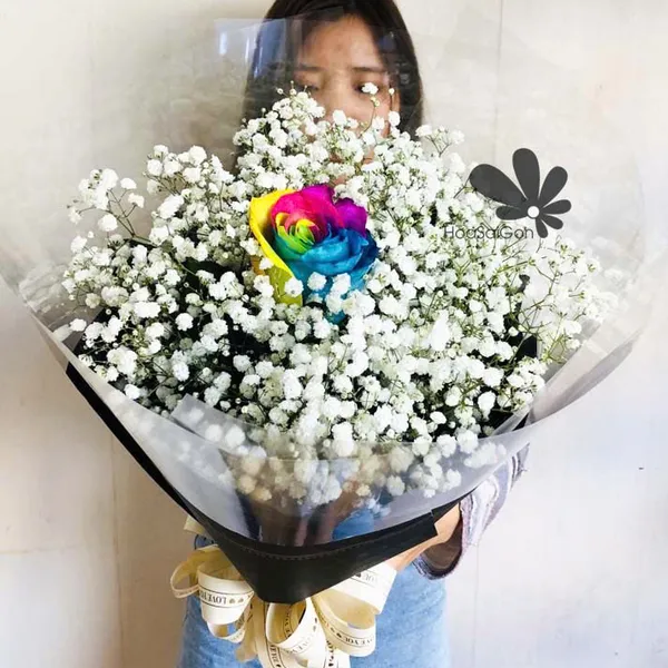 Cầu vòng trong em HSG304