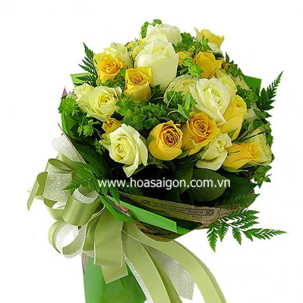 Chân trời mới - TY128