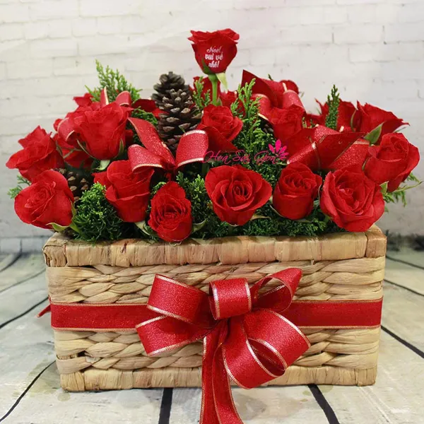 Chào giáng sinh an lành HSG197