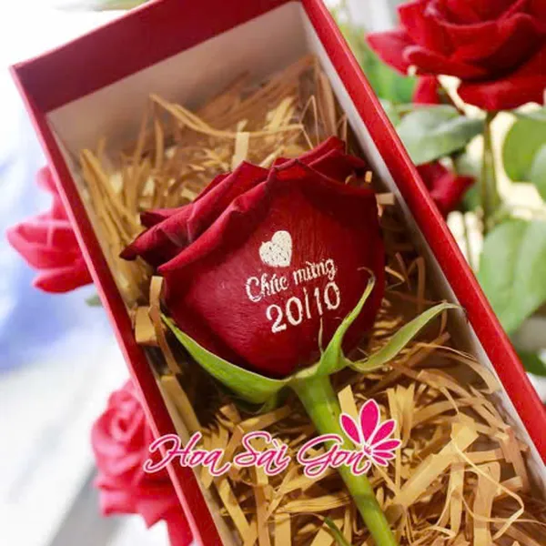 Chúc mừng 20/10 - S63