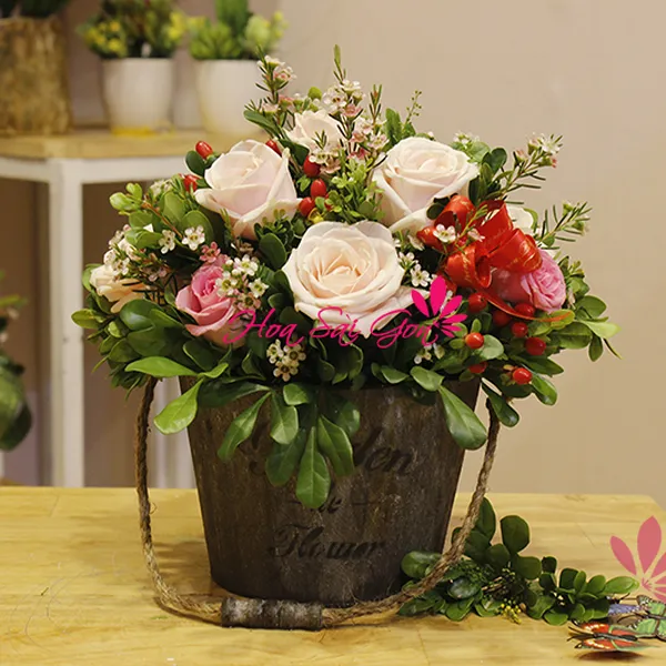 Cổ điển - HSG12