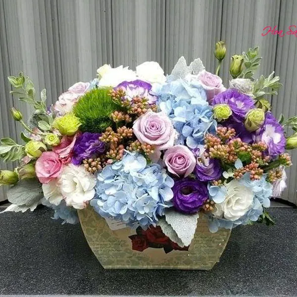 Đất trời hòa hợp - HSG02