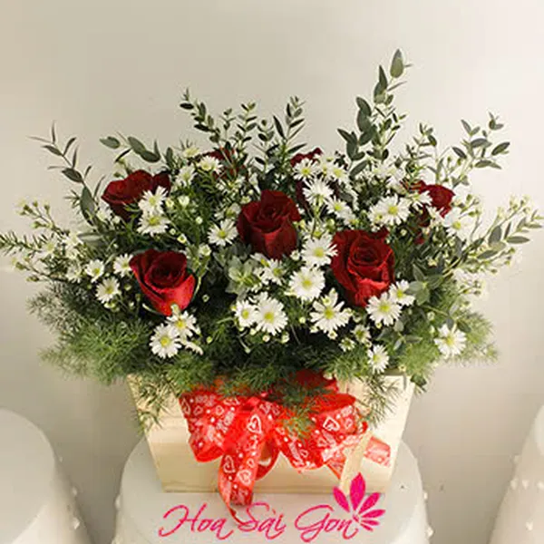 Dịu ngọt - HSG82