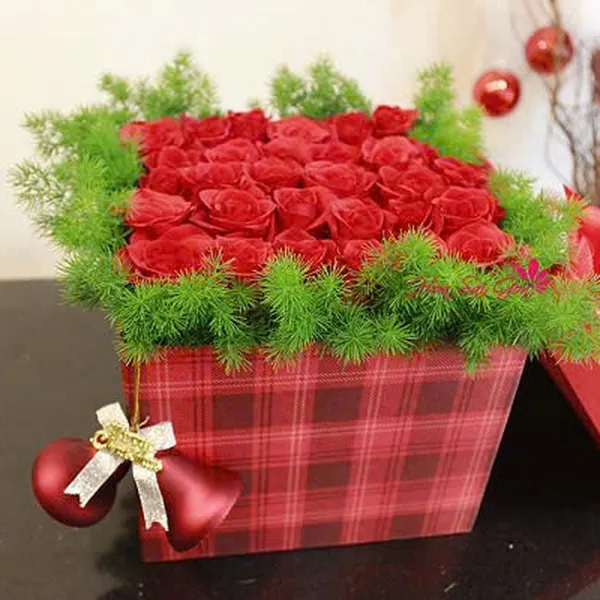 Đỏ rực mùa giáng sinh HSG195