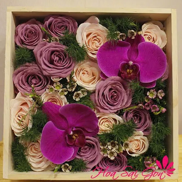 Giấc mơ tình yêu HSG265