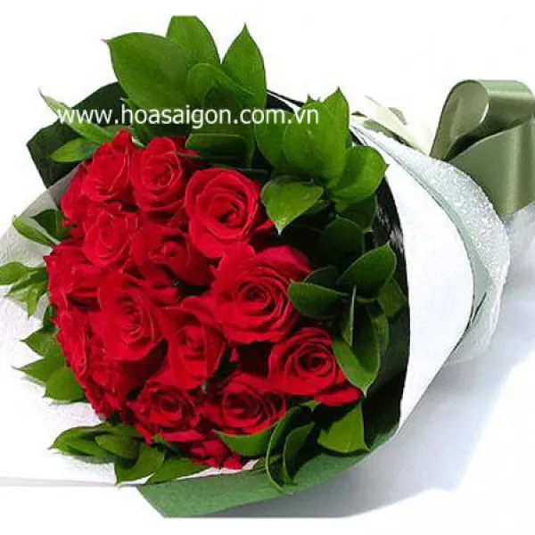 Giấc mơ yêu - TY133