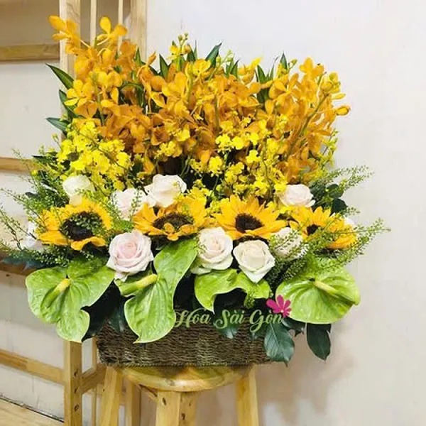 Giọt nắng HSG272