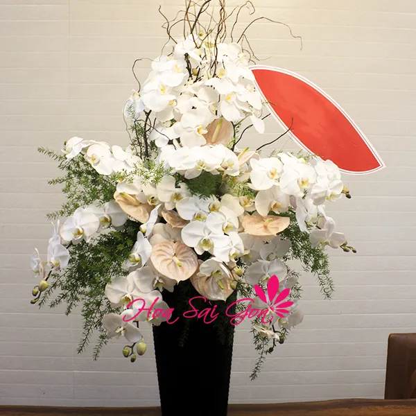 Giọt sương mai HG165