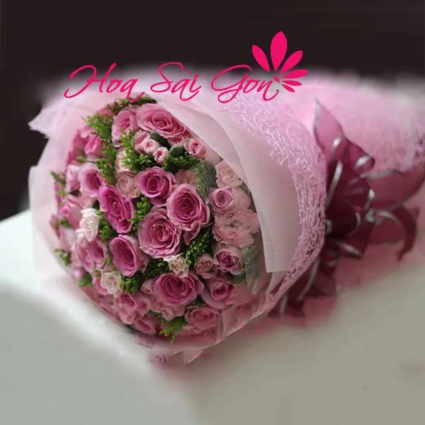 Gót hồng - HSG118