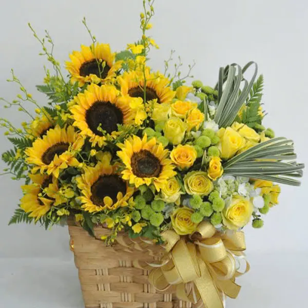 Hoa giỏ đẹp - HSG373