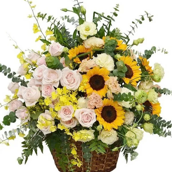 Hoa giỏ hướng dương - HSG375