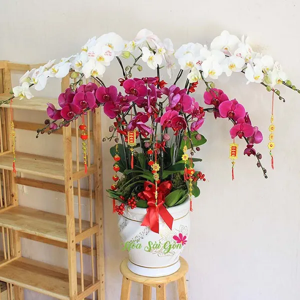 Hoa khai phú quý PL63