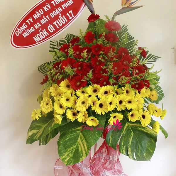 Hoa khai trương LH16