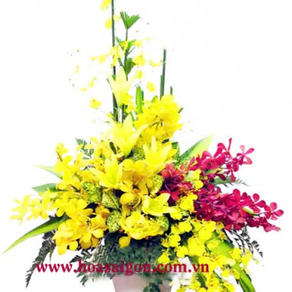 Hoa tươi 20/10 - CB09