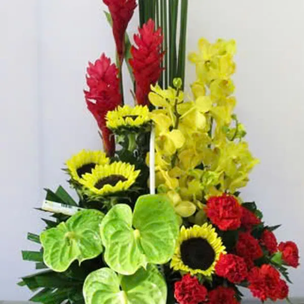 Hoa tươi 20/10 - HG114