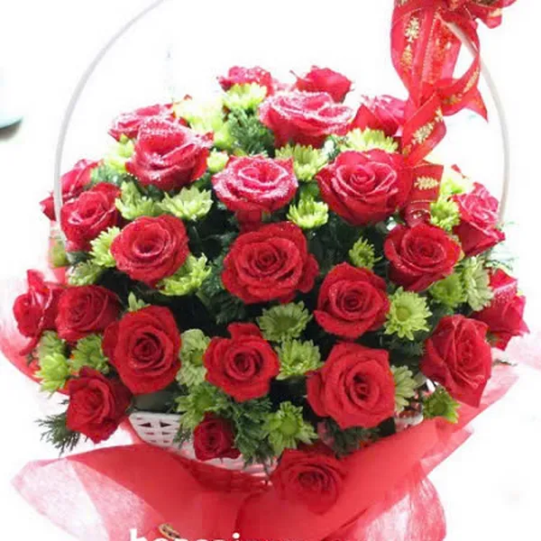 Hoa tươi 20/10 - PT31