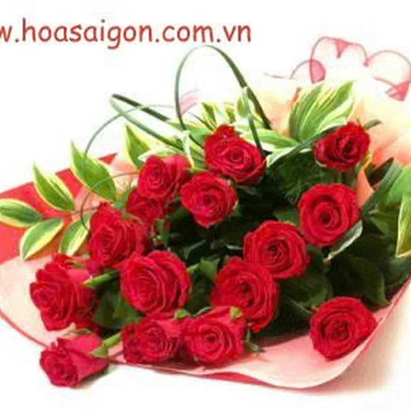 Hoa tươi 20/11 - HB61