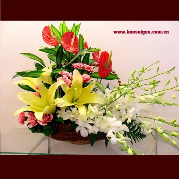 Hoa tươi 20/11 - HG103