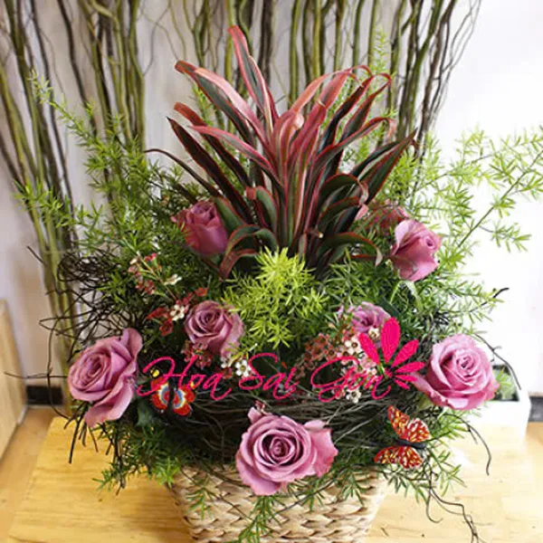 Hương mới - HSG288